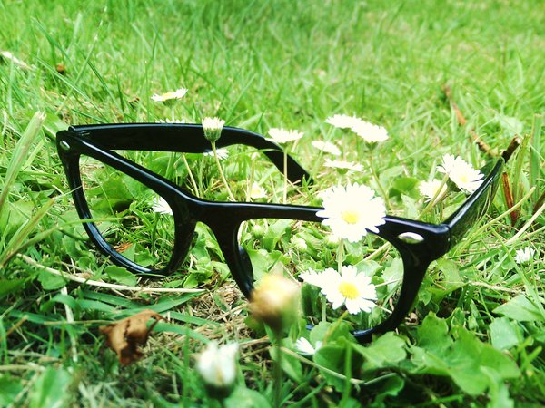 Glasses_In_The_Grass_by_unhappyspoon