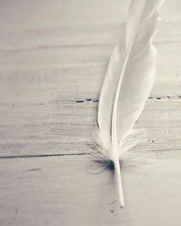 feather1