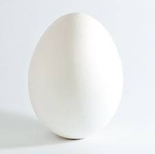 The egg