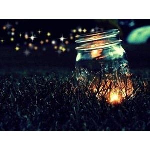 Fireflies