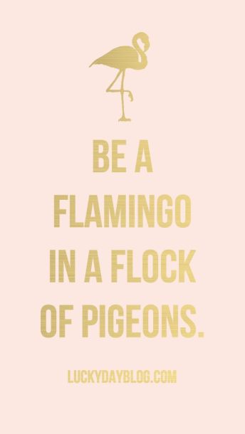 Be a flamingo