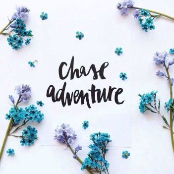 Chase Adventure