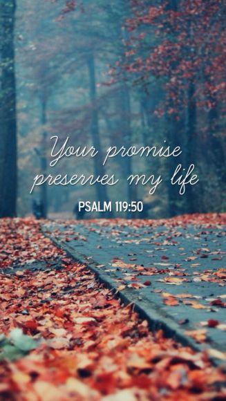 Your Promise