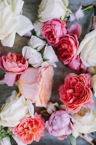 (C) 2013 | Haley Sheffield | www.haleysheffield.com